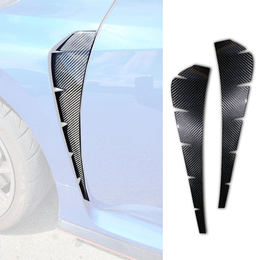 葉子版飾蓋 碳纖維 Dry Carbon 2017-2021 Civic Typer FK8