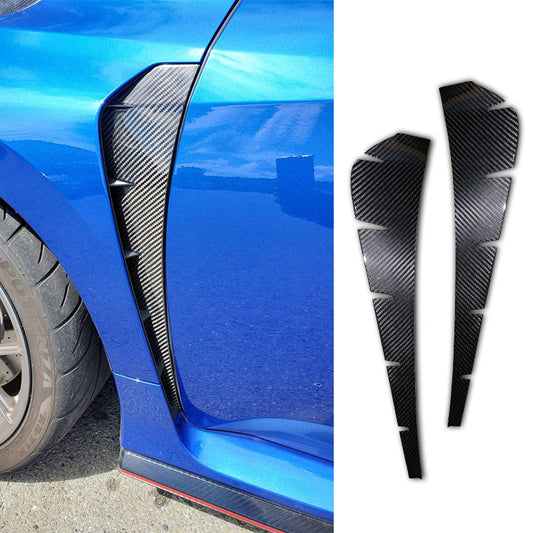 葉子版飾蓋 碳纖維 Dry Carbon 2017-2021 Civic Typer FK8