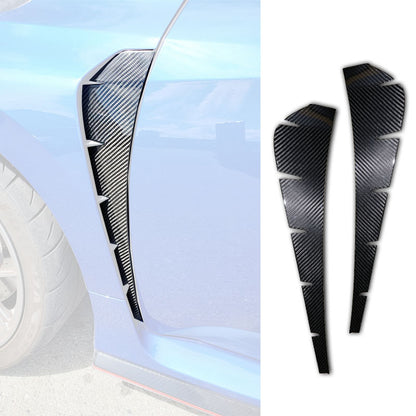 葉子版飾蓋 碳纖維 Dry Carbon 2017-2021 Civic Typer FK8