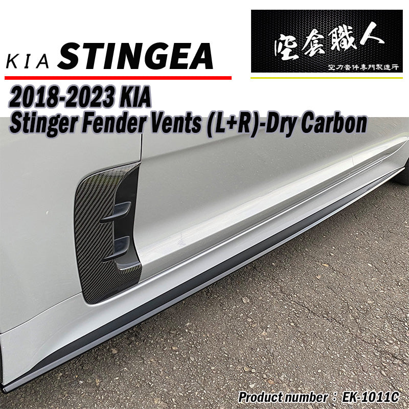 葉子板飾板 碳纖維 Dry Carbon 2018-2023 Kia Stinger