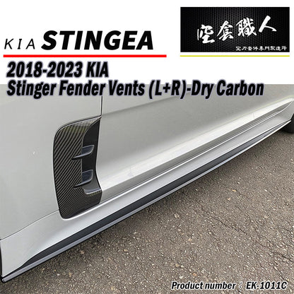 葉子板飾板 碳纖維 Dry Carbon 2018-2023 Kia Stinger