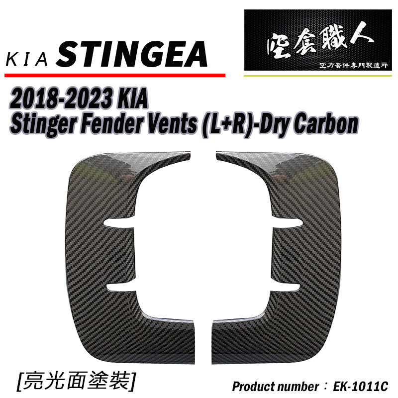 葉子板飾板 碳纖維 Dry Carbon 2018-2023 Kia Stinger