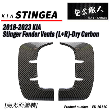 葉子板飾板 碳纖維 Dry Carbon 2018-2023 Kia Stinger