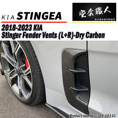葉子板飾板 碳纖維 Dry Carbon 2018-2023 Kia Stinger