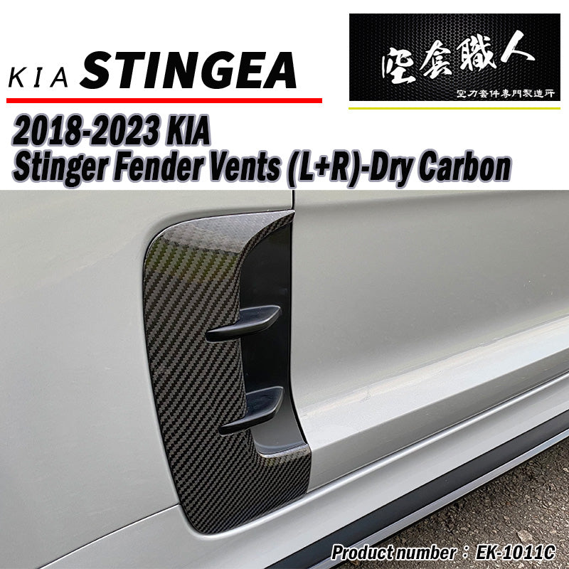 葉子板飾板 碳纖維 Dry Carbon 2018-2023 Kia Stinger