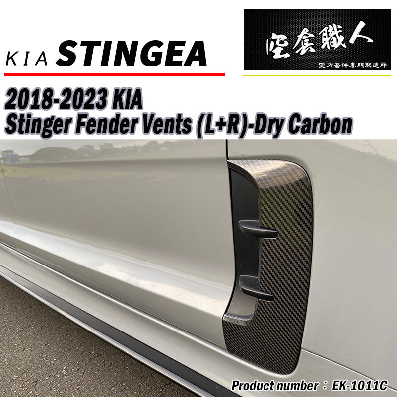葉子板飾板 碳纖維 Dry Carbon 2018-2023 Kia Stinger