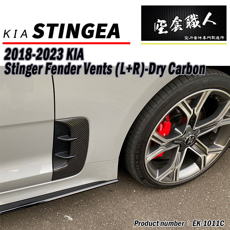 葉子板飾板 碳纖維 Dry Carbon 2018-2023 Kia Stinger