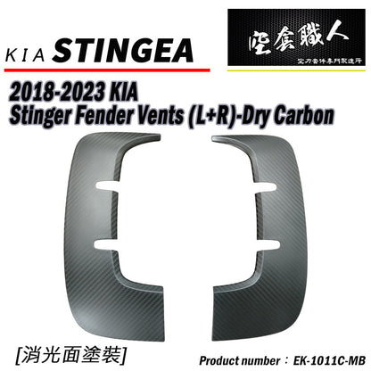 葉子板飾板 碳纖維 Dry Carbon 2018-2023 Kia Stinger