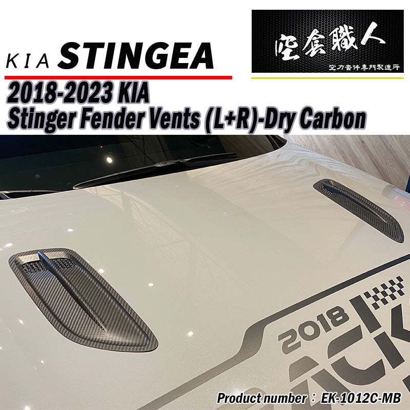 引擎蓋飾板 碳纖維 Dry Carbon 2018-2023 Kia Stinger