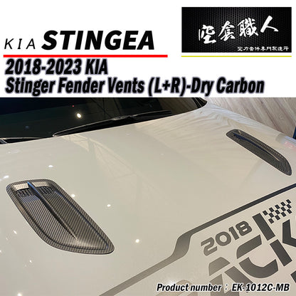 引擎蓋飾板 碳纖維 Dry Carbon 2018-2023 Kia Stinger