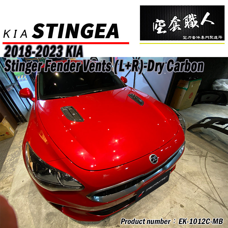 引擎蓋飾板 碳纖維 Dry Carbon 2018-2023 Kia Stinger