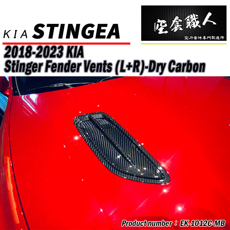 引擎蓋飾板 碳纖維 Dry Carbon 2018-2023 Kia Stinger