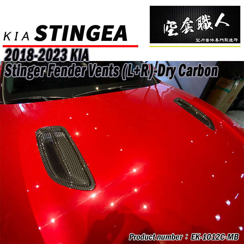 引擎蓋飾板 碳纖維 Dry Carbon 2018-2023 Kia Stinger