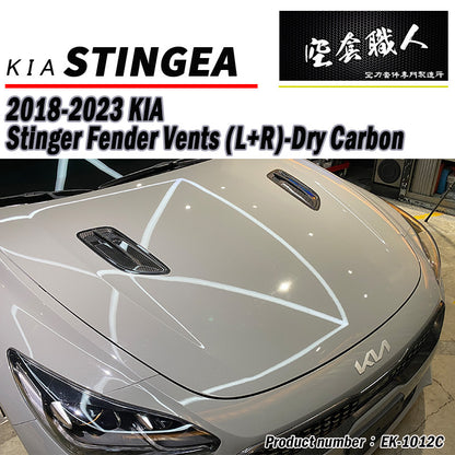 引擎蓋飾板 碳纖維 Dry Carbon 2018-2023 Kia Stinger