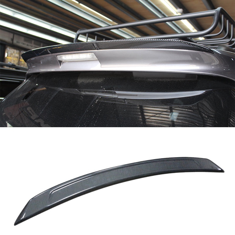 尾翼 碳纖維卡夢 Carbon Fiber/ABS 2011-2017 Toyota Sienna