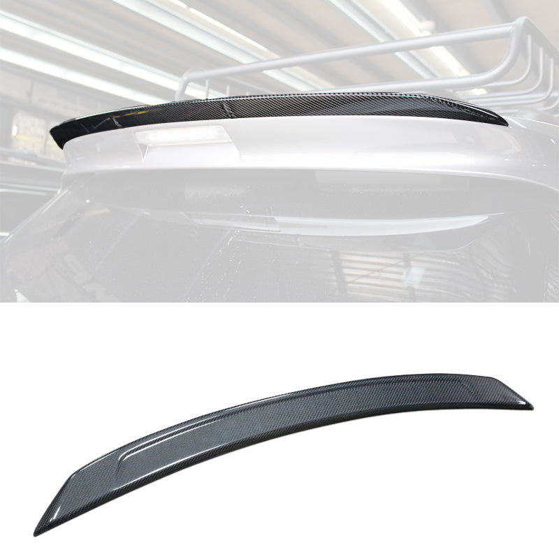 尾翼 碳纖維卡夢 Carbon Fiber/ABS 2011-2017 Toyota Sienna